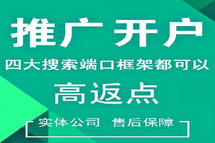 SEM服务公司助力电商增长案例